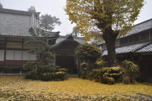 霧の龍潭寺の画像2