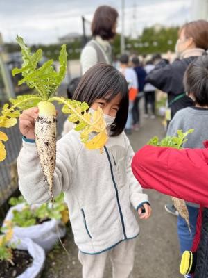 とれた自分ダイコン