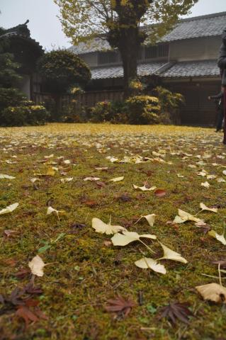 霧の龍潭寺の画像3