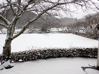 グランドも雪景色の画像