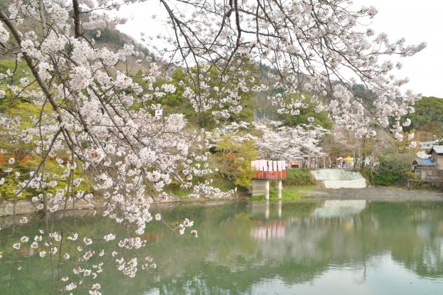 出雲大神宮の画像2