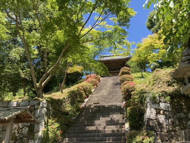 初夏の亀岡の画像2