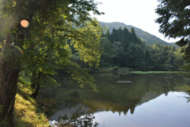 谷山池の画像