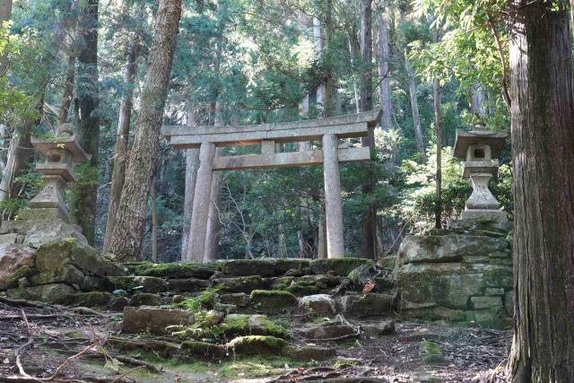 とこなげ山の画像2