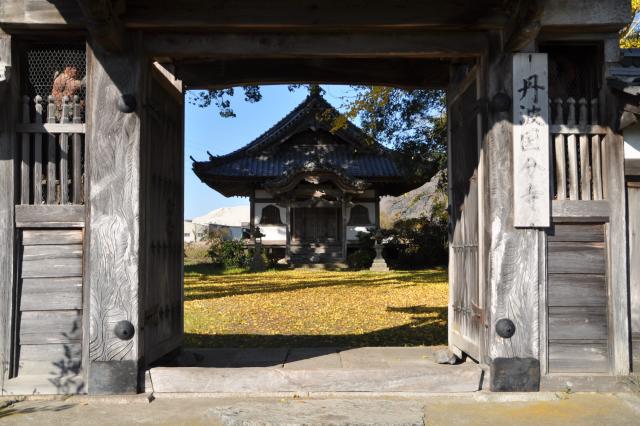 初冬の丹波国分寺の画像1