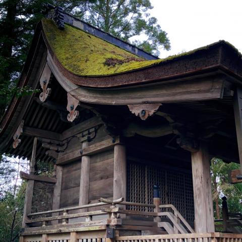 小幡神社の画像4