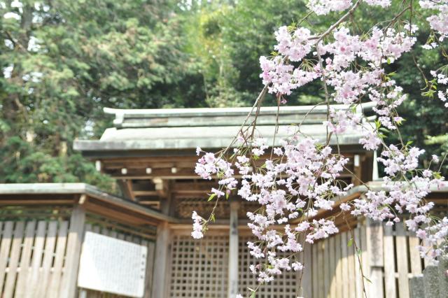 出雲神社の画像1