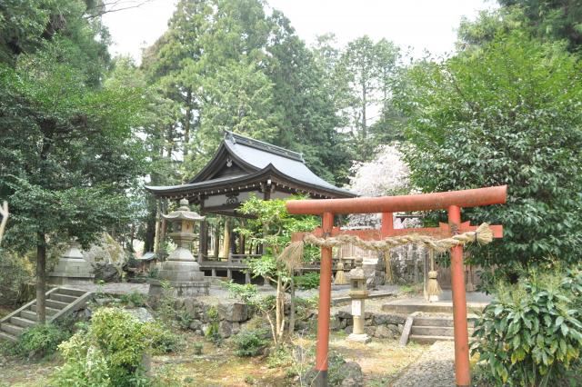 出雲神社の画像2