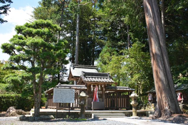 篠村八幡宮の画像2