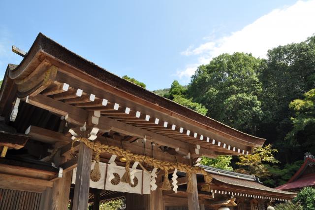 晩夏の出雲大神宮の画像1