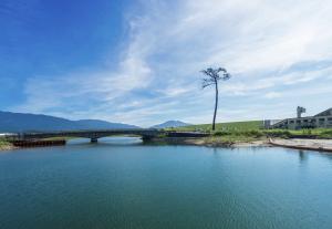 陸前高田市