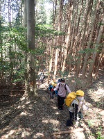 縦に並んでの山歩きの画像