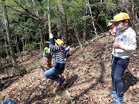 藤蔓でターザンを楽しむ児童の画像