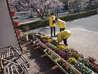4月当初の花壇の様子を見る児童民生委員さんらの画像