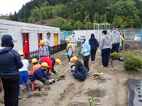 全校児童で苗を植える作業の画像