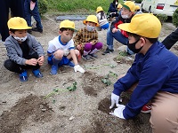 植え方を教える児童の画像