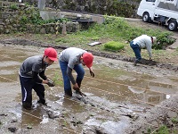 上級学年の手植えの画像