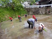 児童の植えた後をリカバリーしてもらう画像