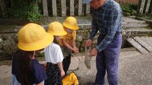 魚の餌を貰う児童等の画像