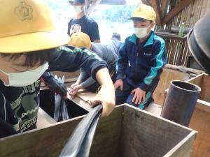 竹炭をりんご箱へ入れる児童の画像