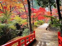 神蔵寺の紅葉