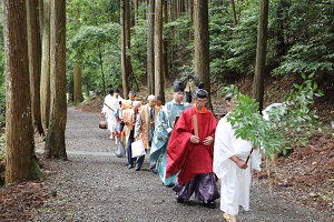 参道を本殿へと進む画像