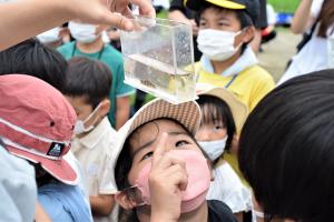 アユモドキを観察する子どもたち