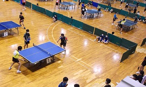 卓球3
