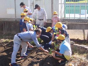 植え付ける手順を教わる児童の画像