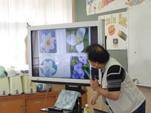 3枚の花びらの花の画像