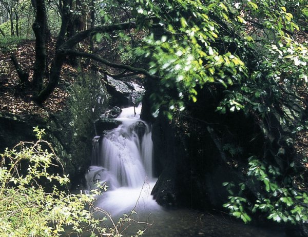 亀岡の豊かな水環境と快適な生活の実現のためにの画像