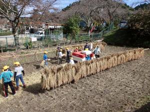 天候に恵まれた脱穀作業日、稲木の前の画像