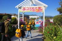 夢コスモス園１