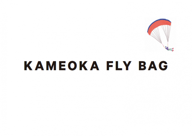 KAMEOKA FLYBAG Project 表紙