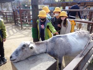 気持ち良くて顎のせするヤギの画像