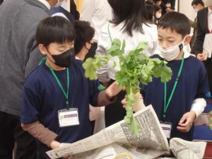 お米や野菜を手にする画像