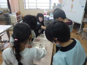 水槽の中に生き物に興味津々の画像