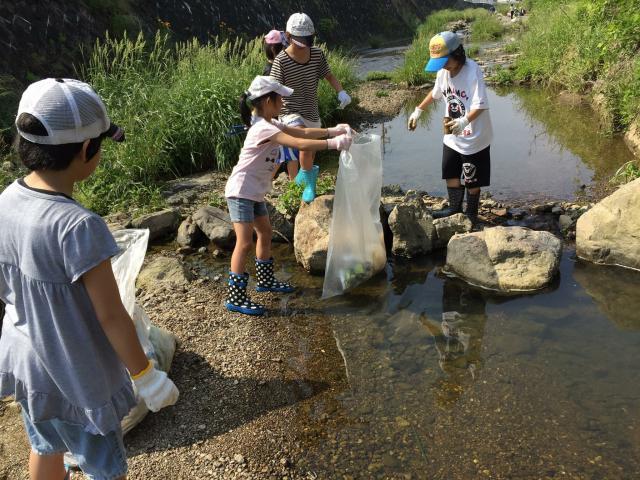 海洋プラスチック問題に関する国内外の動向の画像2