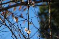 12月１９