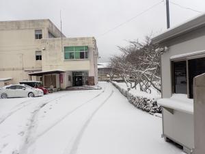 校門から校舎玄関を望む雪景色の画像