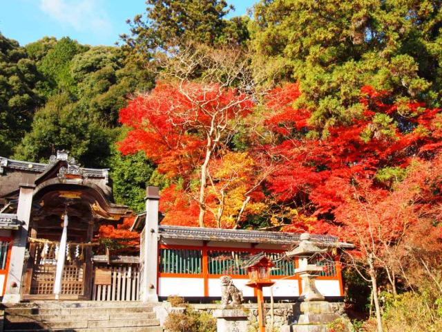 鍬山神社