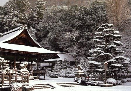 雪化粧の出雲大神宮