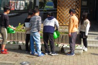 花の苗2