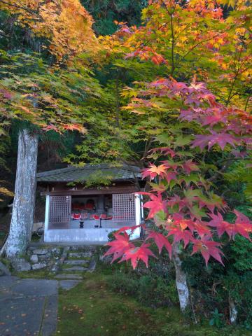 積善寺の画像