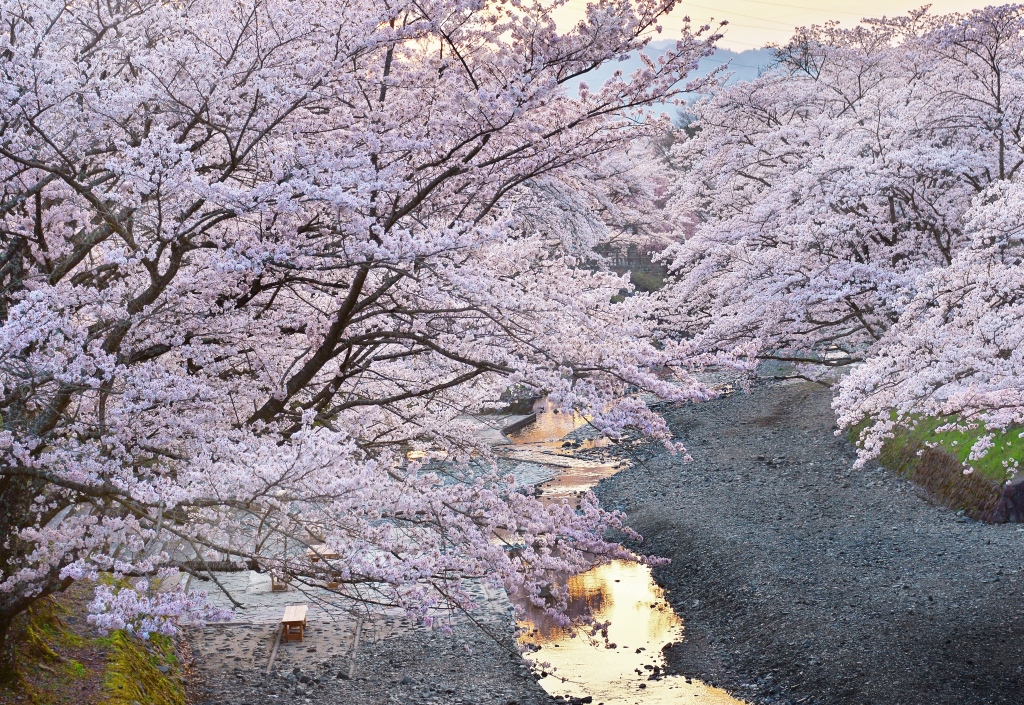 七谷川の夕日の画像
