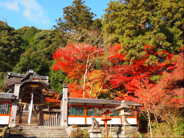 鍬山神社の画像