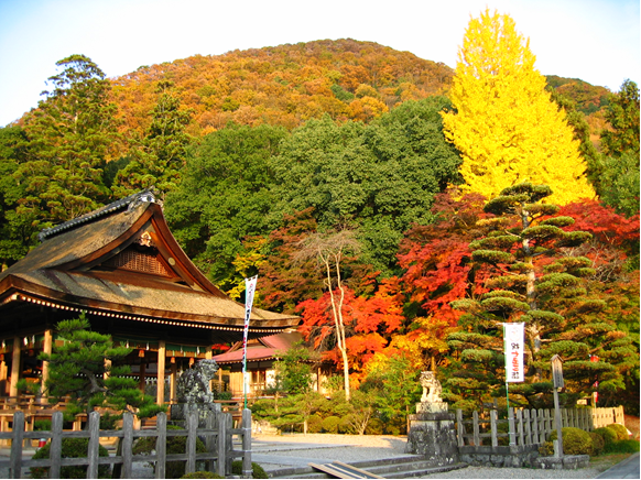 出雲大神宮の画像