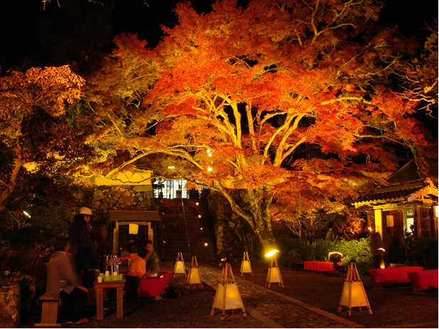 神藏寺の画像