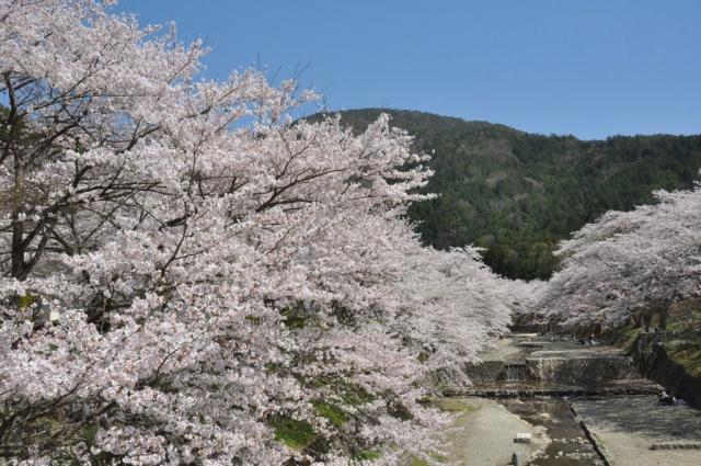 七谷川「和らぎの道」の画像