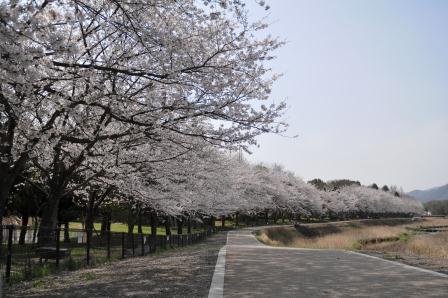 亀岡運動公園の画像